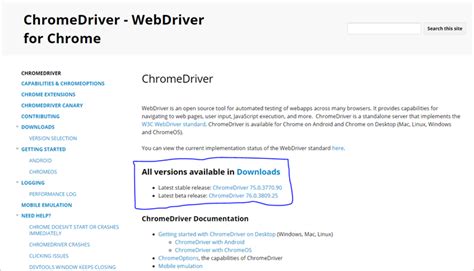 chromedriver selenium tutorial selenium webdriver tests  chrome
