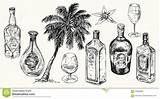 Rhum Bouteille Rum Placez Ron Fles Vastgestelde Vecteur Choisir Botella Illustratie sketch template