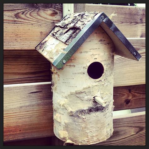 birds bird house plans bird houses diy sycamore nests birdhouses bird feeders