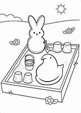 Peeps Coloring Pages Bunny Printable Marshmallow Sheets Easter Kids Book Templates Board Sand Playing Preschool Print Bord Kiezen Choose sketch template