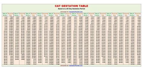 cat gestation calculator  chart printable gestation periods