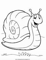 Lumaca Snail Crayola Lumache Snails Getdrawings Gaddynippercrayons Clipartmag sketch template