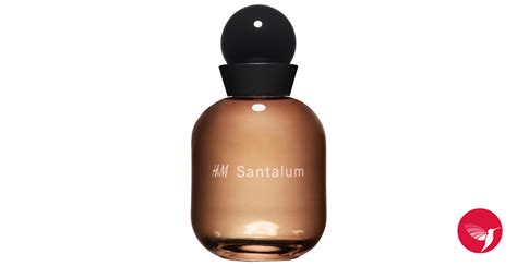 hm santalum hm perfume   fragrance  women  men
