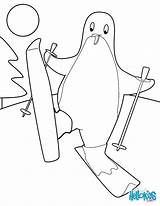 Penguin Coloring Adelie Getdrawings sketch template
