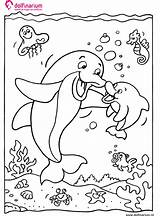 Kleurplaten Dolfijnen Dolfijn Dolphin Kleurplaatje Dieren Zeehonden Dolphins Moeder Zomer Afkomstig Knutselen Zoon Uitprinten Downloaden Kleuren sketch template