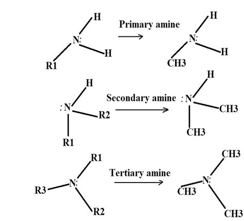 identify  classify amines examples  characteristics