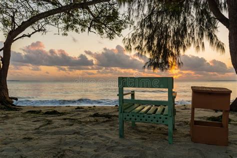 beautiful beaches  dar es salaam  sunrise stock photo image  paradise landscape