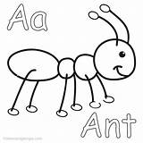 Ant Formiga Ants Insect Colouring Desenho Formigas Coloringfolder sketch template