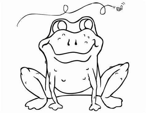 printable toad coloring pages  kids frog coloring pages
