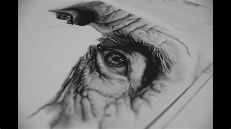 awesome pencil sketch drawing