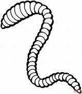 Earthworm Coloring Pages Worm Drawing Clipart Worms Printable Earthworms Categories sketch template