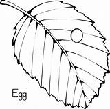 Caterpillar Kolorowanki Preschool Eggs Motyle Clipartmag Yolk sketch template