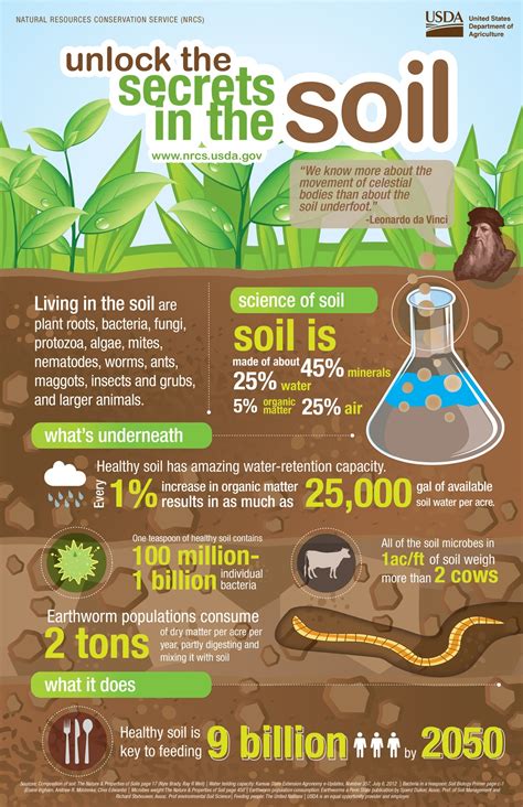 fabulous infographics  soil health infographic