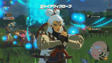 impa has lots of cool special moves in age of calamity zelda universe