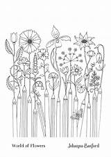 Basford Coloring Johanna Flowers Book Pencil Pages Flower Visit Colouring sketch template