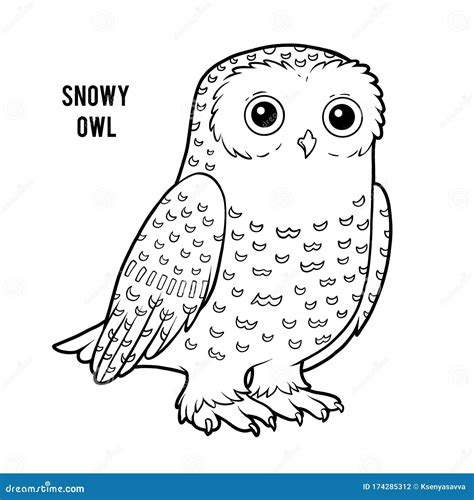 coloring book snowy owl stock vector illustration  feather