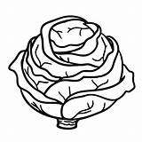 Repolho Repollo Colorear Cabbage Desenho Colorironline sketch template