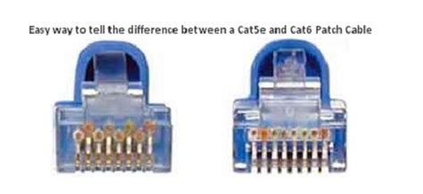 diferencia entre cat  cat diferencia entre