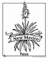 Mexico Flower Coloring State Pages Tree Clip Yucca Plant Clipart Library Choose Board sketch template