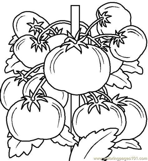 coloring pages vegetable coloring page  food fruits vegetables