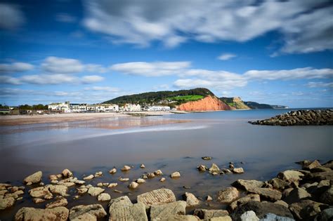 east devon property review stags estate agents