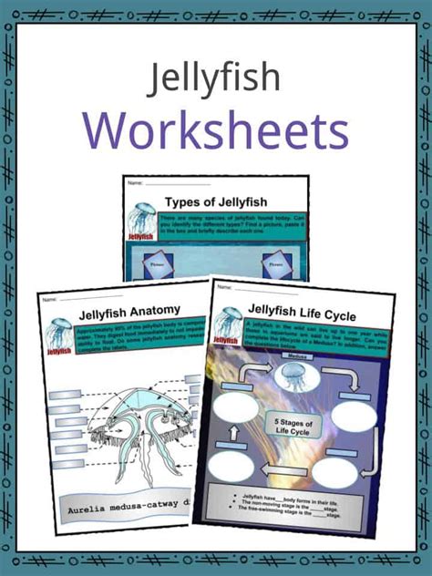 jellyfish facts worksheets habitat types body parts  kids