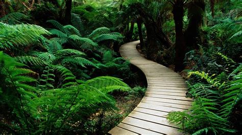 pathway wallpapers top  pathway backgrounds wallpaperaccess