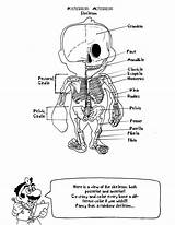 Coloring Pages Anatomical Getcolorings Anatomy sketch template