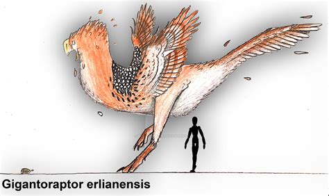 gigantoraptor erlianensis  plastospleen  deviantart