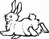 Coloring Pages Pond Hopping Bunny Falling After Outline sketch template