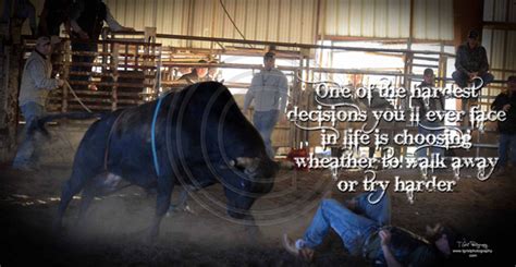 Bull Riding Inspirational Quotes Quotesgram