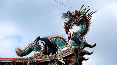 images animal statue long festival temple dragon culture