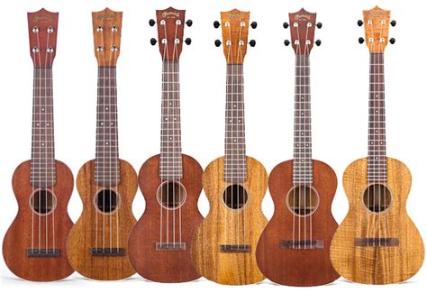 berbagi pengetahuan ukulele  senar kumpulan chord