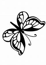Mariposa Monarca Chistosa Mariposas Línea Pintar sketch template