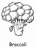 Broccoli Coloring Pages Vegetable sketch template