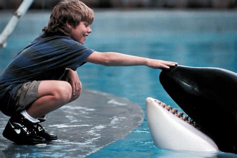retrochenta on twitter hoy hace 19 años que murió keiko la orca que