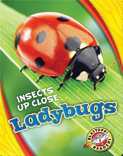 ladybugs childrens book  christina leaf discover childrens books