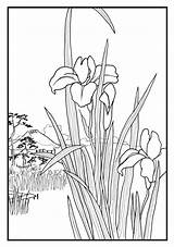 Hiroshige Coloring Flowers Cards sketch template