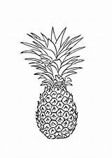 Abacaxi Coloring Frutas Simples Vários Temos Branco Recortar Detalhados Complexidade Exemplos Aproveite Simplesmente sketch template