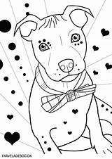Coloring Pitbull Pages Bull Dog Pit Terrier Puppy Puppies Drawing Getdrawings Silhouette Printable Getcolorings Face Clip Colorings Popular sketch template