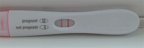 Pregnancy Test Wikipedia