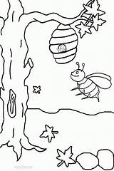 Bumble Hummel Bees Beehive Cool2bkids Kostenlos Ausmalbild sketch template