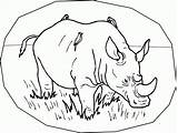 Coloring Pages Rhino Rhinoceros Printable Kids Animals Endangered Rhinos Color Colouring Rainforest Print Species Preschool Sheet Animal Child Fun Comments sketch template