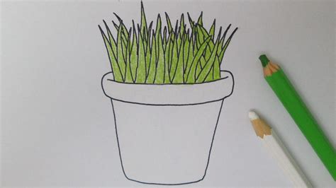 How To Draw A Potted Plant Youtube