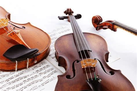 musicviola  web  directory  viola