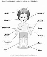 Body Parts Coloring Preschool Pages Clipart Language German Kids Clip Library Popular sketch template