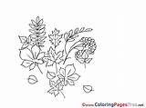 Coloring Herbs Pages Children Sheet Title sketch template