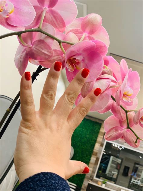 nail garden austin luxurious beauty spa treatments