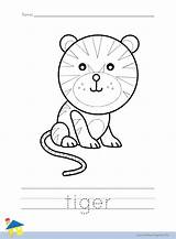 Tiger Worksheet Coloring Worksheets Animal sketch template