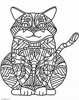 Katten Zentangle Erwachsene Volwassenen Katzen Kleurplaten Malvorlage Ausmalbild sketch template